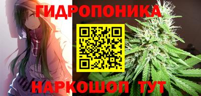 прущие крисы Дубна