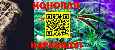 прущие крисы Дубна
