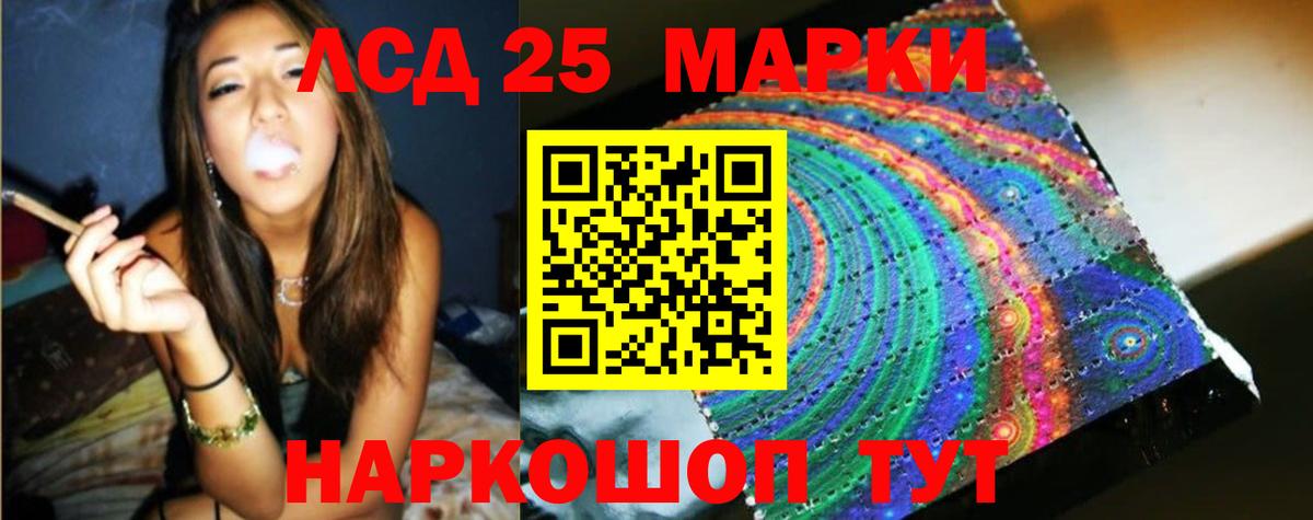 Галлюциногенные грибы Дальнереченск
