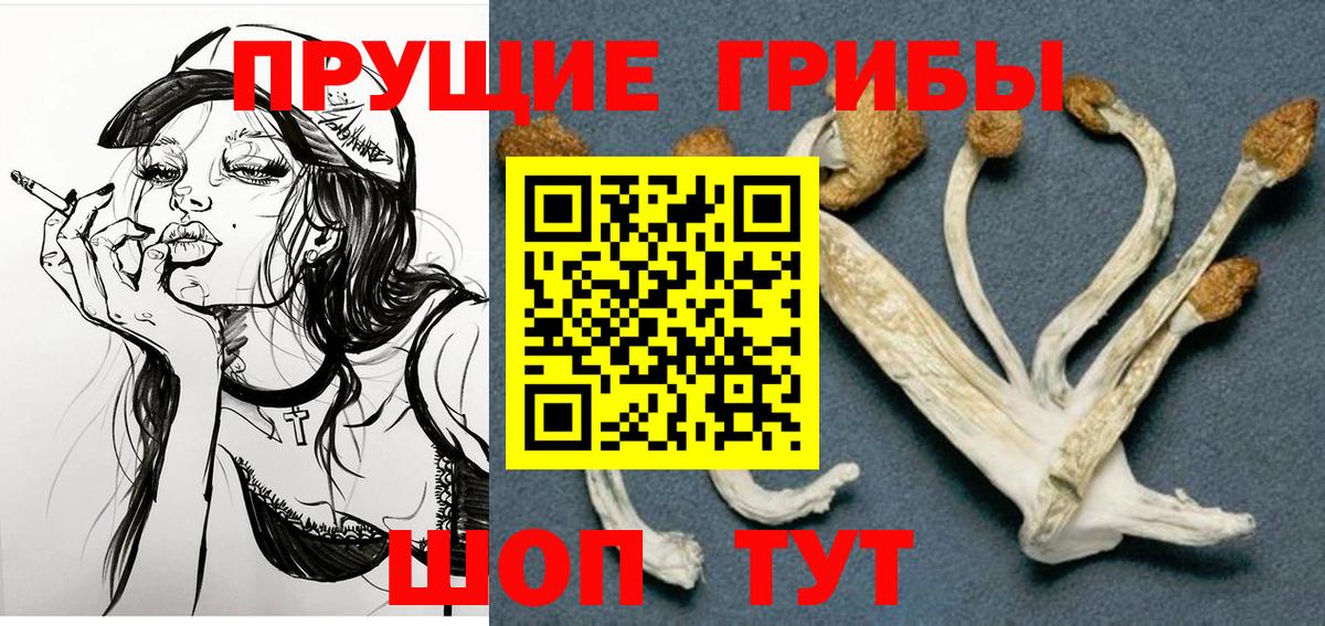 Псилоцибиновые грибы Psilocybine cubensis Дальнереченск